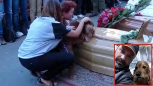 Köpeklerin Sadakati: Sahibini Terk Etmeyen Köpek