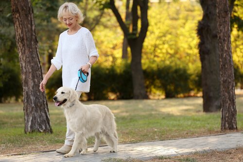 köpekler yalnızlığı hafifletir