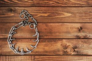 Yasaklanan Köpek Tasmaları