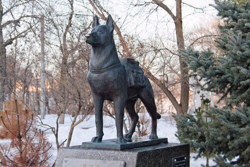 köpek heykeli