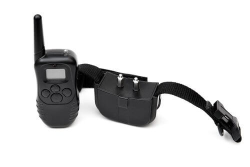 havlama tasmalarının zararları