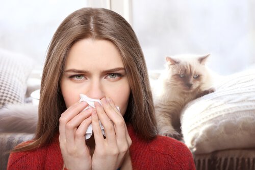 kediye alerjisi olan kadın