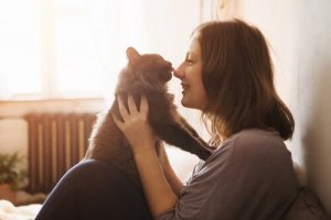 Eve Kedi Yavrusu Almak: İhtiyacınız Olan Şeyler
