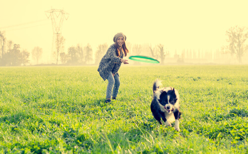 Köpeğiniz İçin Eğlenceli Aktiviteler: 9 Fikir