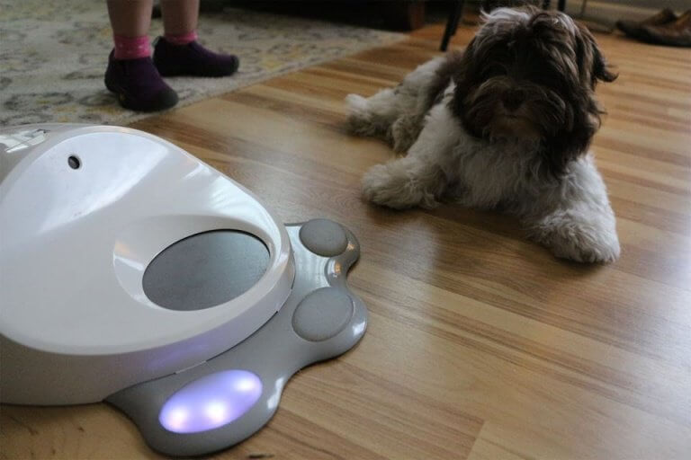köpek oyuncakları