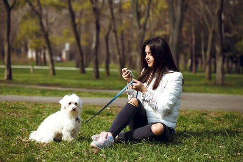 köpek ve telefonla uğraşan kadın
