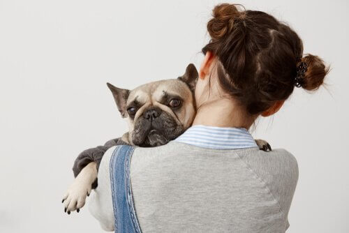 köpeğine sarılan insan