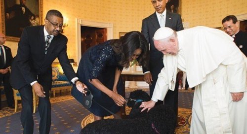 Papa francis ve hayvanlar