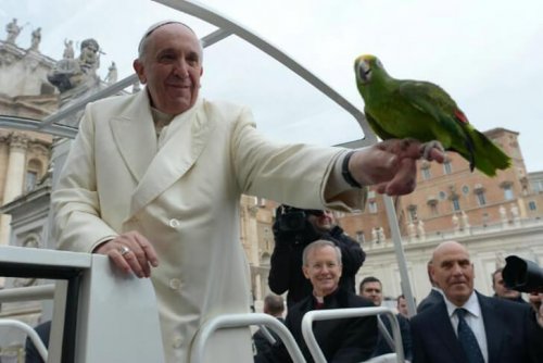 Papa Francis ve Hayvan Sevgisi