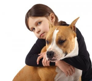 Pitbull Cinsi Köpekler Nasıl Yetiştirilir?