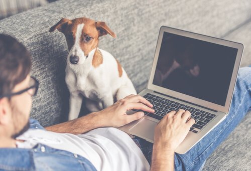 köpek ve sahibi kanepede