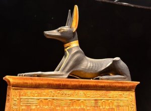 Antik Medeniyetlerde Köpekler ve Toplumdaki Yerleri