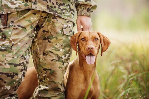avcı ve köpeği