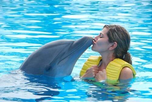 dolphinarium ve zararları
