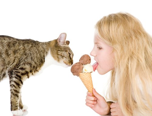 dondurma yiyen kedi ve kız 