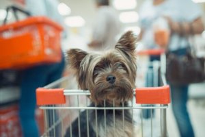 Evcil Hayvanlarla Alışveriş Yapabilir Misiniz?