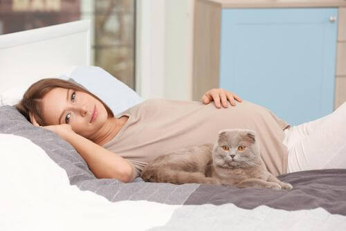 yatakta yatan hamile kadın ve kedi