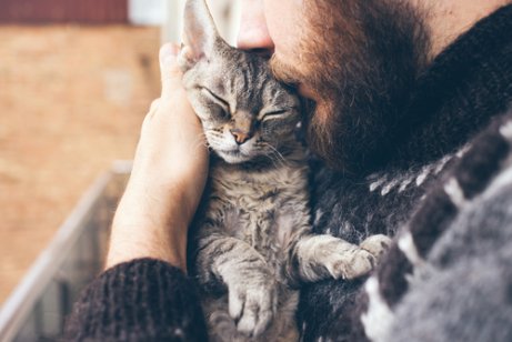 kucaktaki kedi
