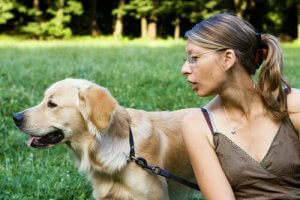 Köpeğiniz Sizi Dinlemiyor Mu? Bu ipuçlarını deneyin!