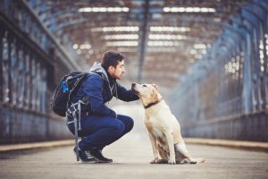 Köpeğiniz İle Seyahat Edebileceğiniz 5 Yer