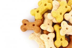 Köpeğinize Vermemeniz Gereken Ödül Mamaları