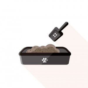 Köpeklerin Kum Kabı Kullanarak Tuvaletini Yapması