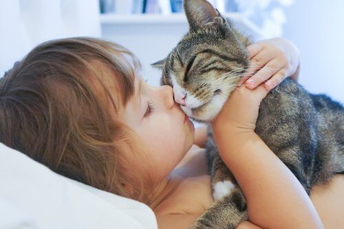 kediyi öpen çocuk