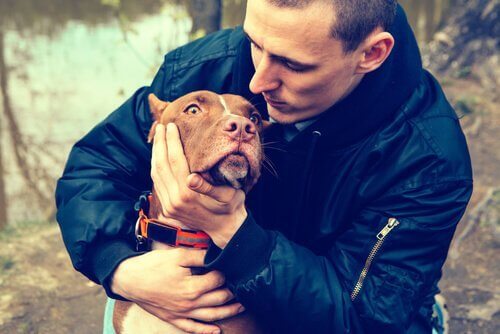 sarılmaktan hoşlanmayan köpek