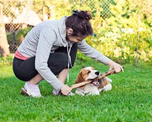 git getir oynayan köpek ve sahibi