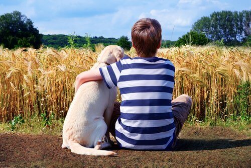 köpek korkusu yaşamayan çocuk