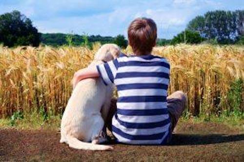 köpek ve çocuk dost
