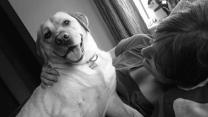 Köpek Sara Hastası Sahibini Kurtardı