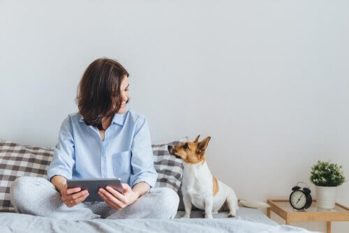 yatakta sahibiyle oturan köpek