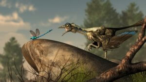 Kuşların Kökeni ile İlgili Neler Biliyoruz?