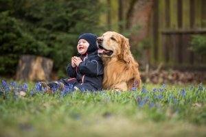 Çocuklar için En İyi Köpek Türleri