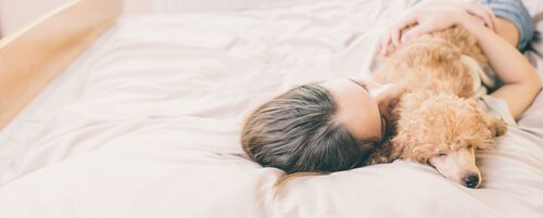 köpekler neden yatağında uyumak istemez