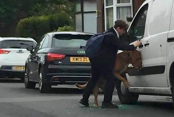bradley isimli gencin köpeği kurtarışı