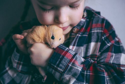 hamster tutan çocuk