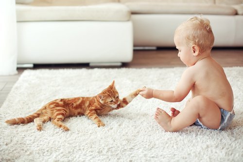 bir bebek ve kedi oynuyor