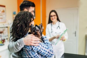 Köpeği Veterinere Götürmek ve Alınacak Önlemler