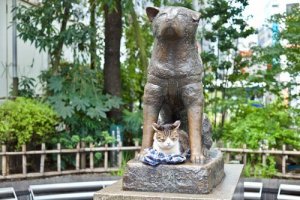 Hachiko'nun İzinden Giden 4 Köpek