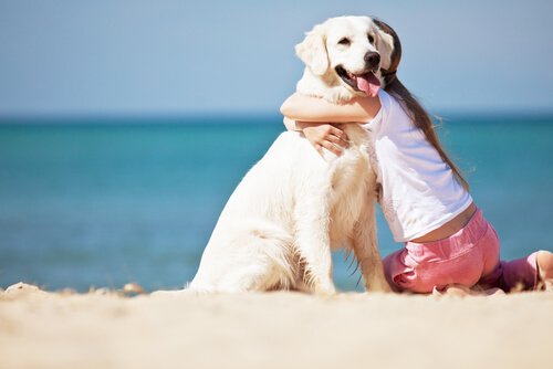 Köpeğinizin Sizin Yapmanızı İstemediği Şeyler
