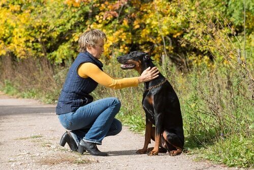 köpek ve sahibi yürüyüş yolu