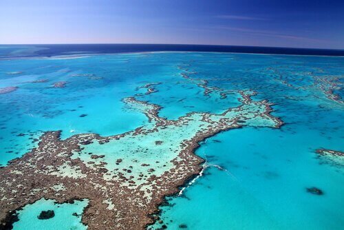 Avustralya'daki mercan resifi
