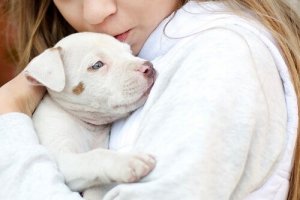 Temple Grandin Kimdir, Hayvanlar için Ne Yapmıştır?
