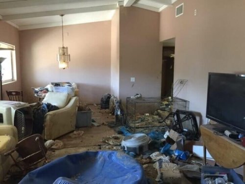 terk edilen köpeklerin yaşadığı ev 