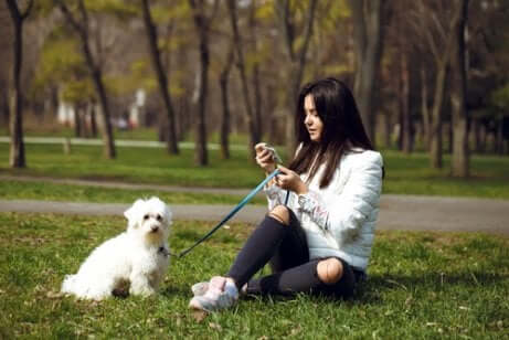 çimde oturan kadın ve köpeği