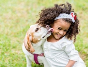 Çocuklar Köpekler İle Nasıl Etkileşim Kurmalı?
