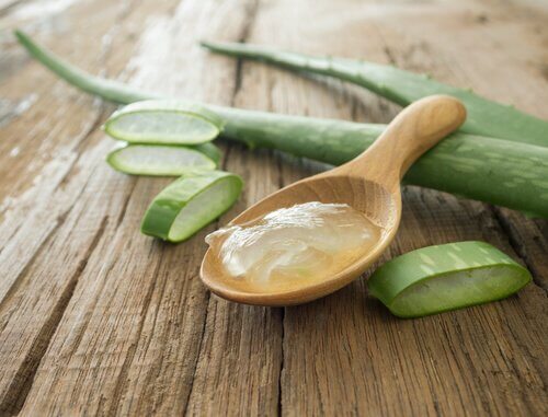aloe vera jeli