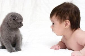 İlginç Bir Soru: Kediler bebeklerle iyi midir?